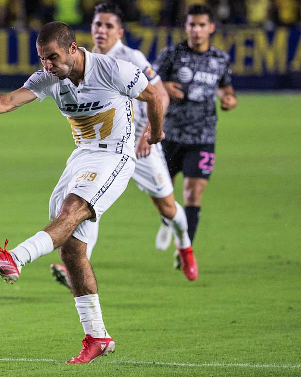 pumas